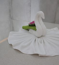 Ashwina (For Ladies Only) Moroccan Bath & Spa