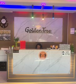 Golden Tree Massage