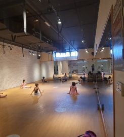Vibez Fitness Centre & Spa (Ladies Only)