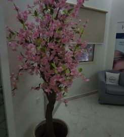 Danai Beauty & Spa