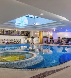 Bliss Now Wellness Hub