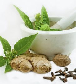 Ayurvedic Kottakkal Olive Gents Massage Center